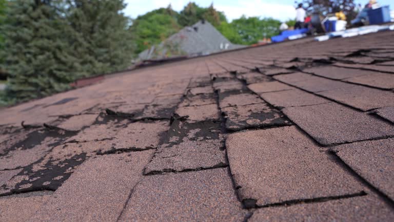 Best Wood Shake Roofing  in Chatsworth, IL