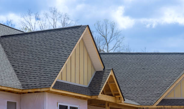 Best Roof Moss and Algae Removal  in Chatsworth, IL